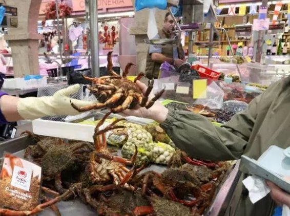 Los primeros «súper centollos» salen al Mercado