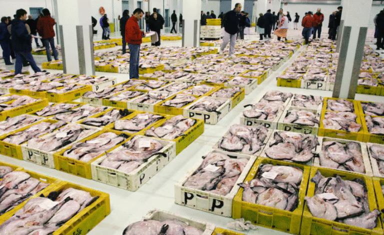 Adiós al marisco gallego: los tres países que están generando una crisis con los precios por los suelos en las subastas
