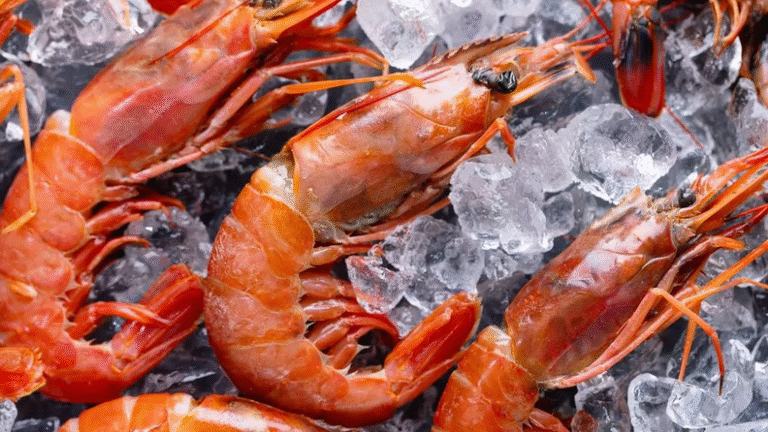 Este municipio de Madrid celebra esta semana su Feria del Marisco: cuatro días del mejor ambiente gallego