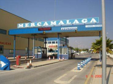 Pescadería De la Lonja a tu Mesa S.L. en Málaga