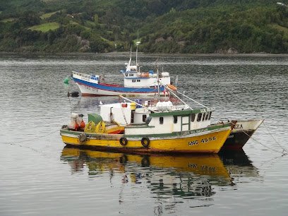 Mayorista de marisco Comercial Tapamar en Madrid