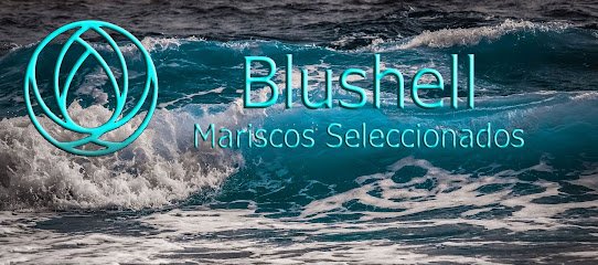 Mayorista de marisco BLUSHELL SL en Madrid