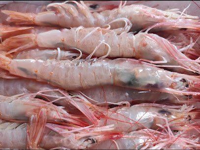 Lonja de pescado La Gourmet del Mar en Huelva