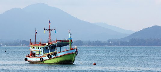 Pescadería Pescados Macorpesca S.l en Málaga