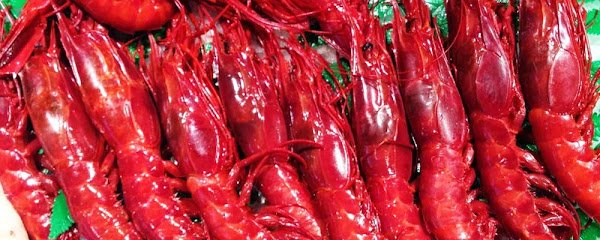 Marisquería Cetarea Gallega y Mariscos – El Marisco Vivo en Zamora