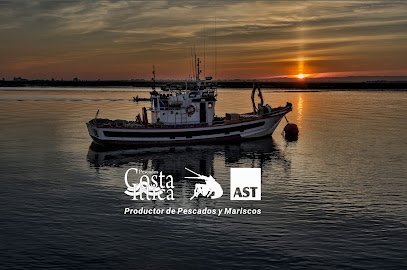 Mayorista de marisco Productor de Pescados y Mariscos | AST-Costa Ittica en Barcelona