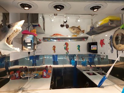 Pescadería Pescadería El Moñi en Málaga