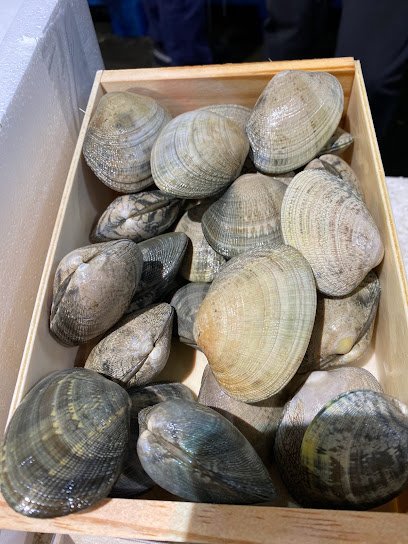 Mayorista de marisco Tirro Peix, S.L en Barcelona