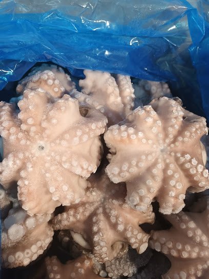 Mayorista de marisco Grupo Boctopus, SLU en Málaga