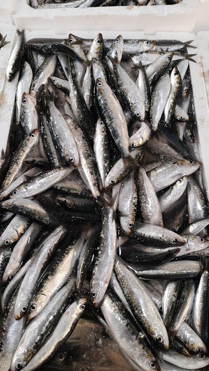 Pescadería Pescaderia «El niño» en Málaga