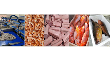 Procesamiento del pescado Más Fish Processing en Málaga