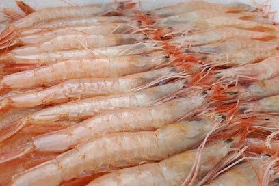 Mayorista de marisco CASAREMAR, Venta Pescados y Mariscos en Huelva