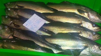 Mayorista de marisco Pescastur en Gijón