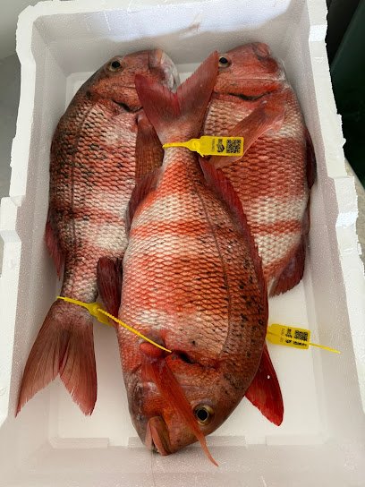 Pescadería Pescados Y Mariscos Seykamar S L U en Málaga