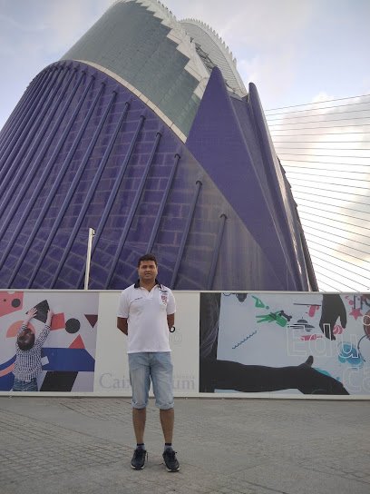 Pescadería Titanic Sea & Fish S.L. en Valencia