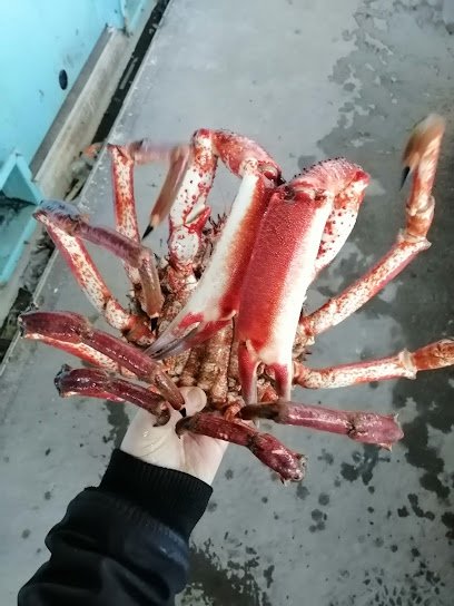 Mayorista de marisco Mariscos Gijón en Gijón