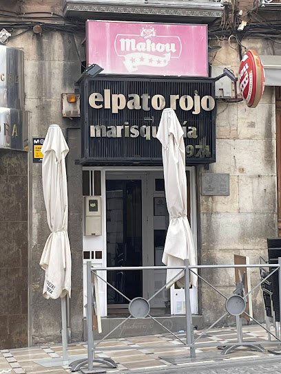 Marisquería Marisquería El Pato Rojo desde 1974 en Jaén