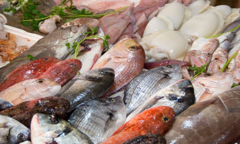 Pescados y Mariscos en Casillas