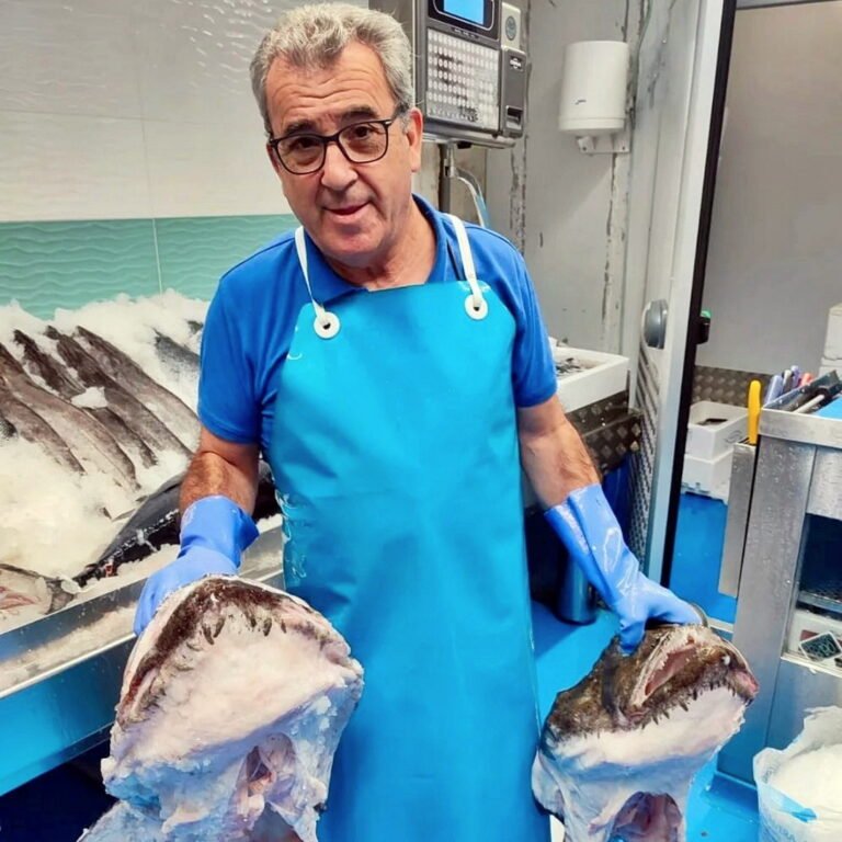 Pescados y Mariscos en Santo Ángel